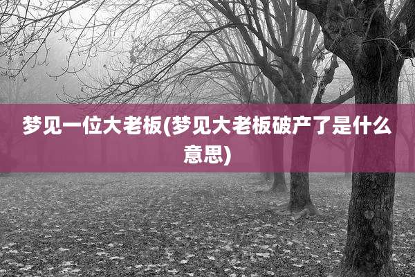 梦见一位大老板(梦见大老板破产了是什么意思)