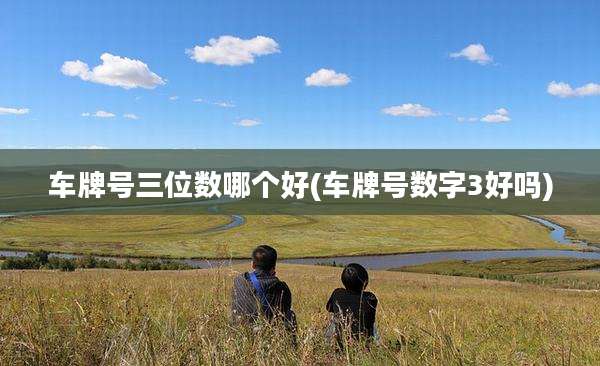 车牌号三位数哪个好(车牌号数字3好吗)