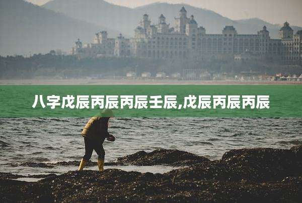 八字戊辰丙辰丙辰壬辰,戊辰丙辰丙辰