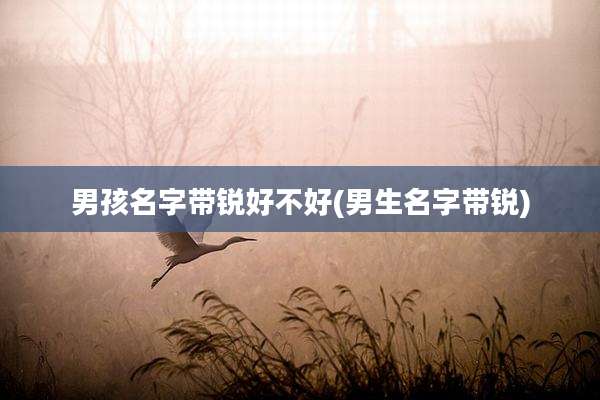 男孩名字带锐好不好(男生名字带锐)