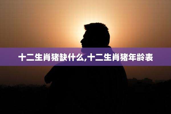 十二生肖猪缺什么,十二生肖猪年龄表