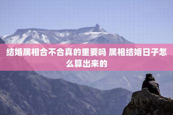 结婚属相合不合真的重要吗 属相结婚日子怎么算出来的