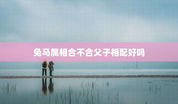 兔马属相合不合父子相配好吗