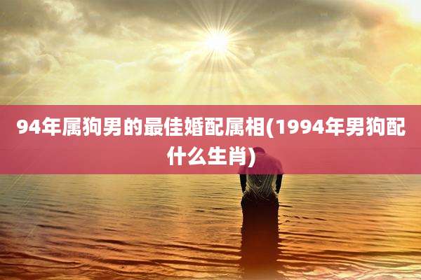 94年属狗男的最佳婚配属相(1994年男狗配什么生肖)