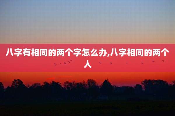 八字有相同的两个字怎么办,八字相同的两个人