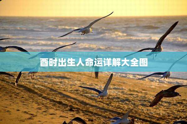 酉时出生人命运详解大全图