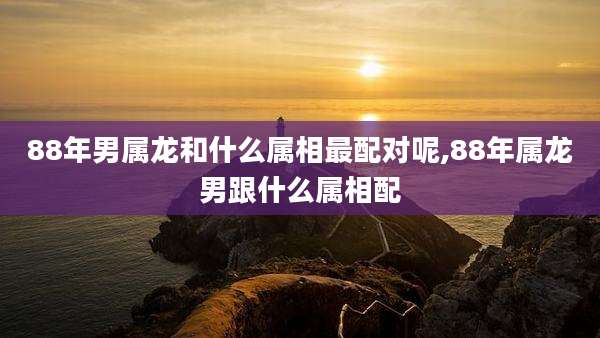88年男属龙和什么属相最配对呢,88年属龙男跟什么属相配