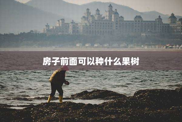 房子前面可以种什么果树