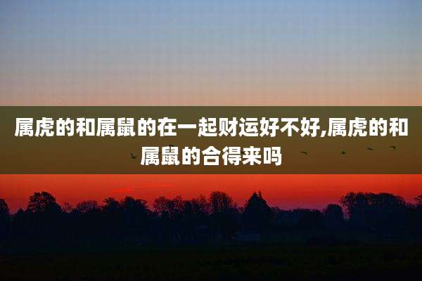 属虎的和属鼠的在一起财运好不好,属虎的和属鼠的合得来吗