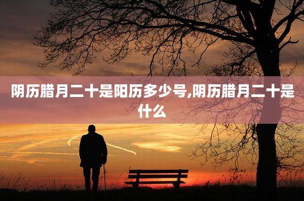 阴历腊月二十是阳历多少号,阴历腊月二十是什么