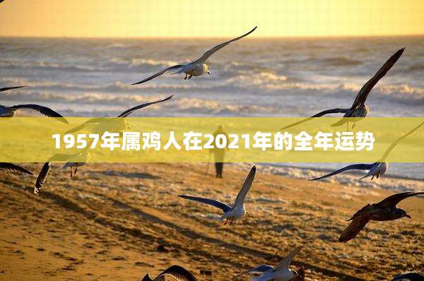 1957年属鸡人在2021年的全年运势