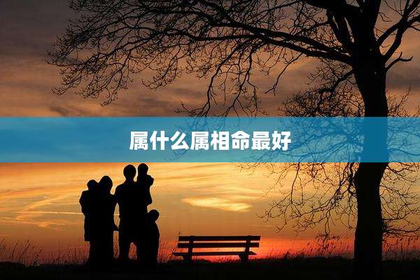 属什么属相命最好