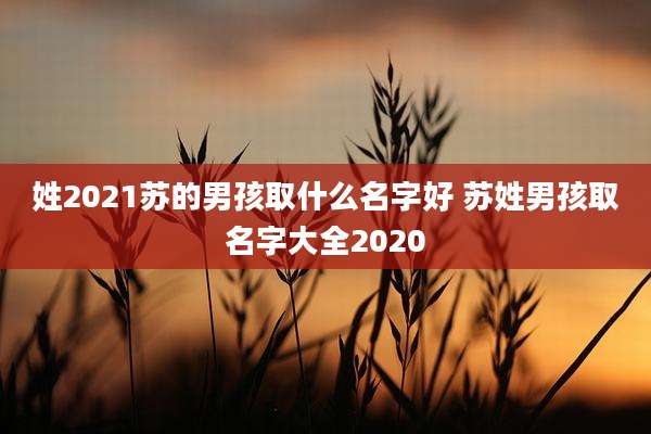 姓2021苏的男孩取什么名字好 苏姓男孩取名字大全2020