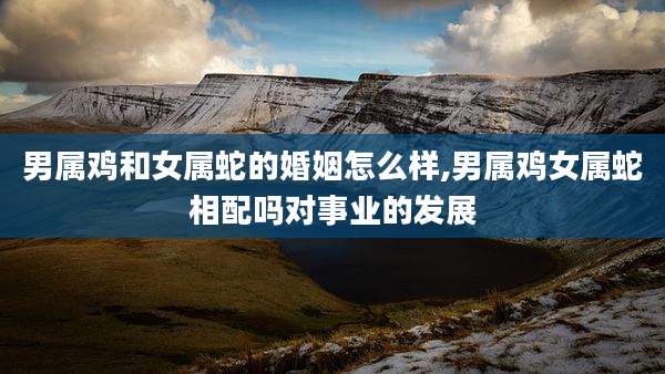 男属鸡和女属蛇的婚姻怎么样,男属鸡女属蛇相配吗对事业的发展