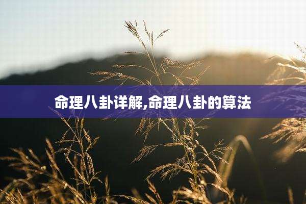 命理八卦详解,命理八卦的算法