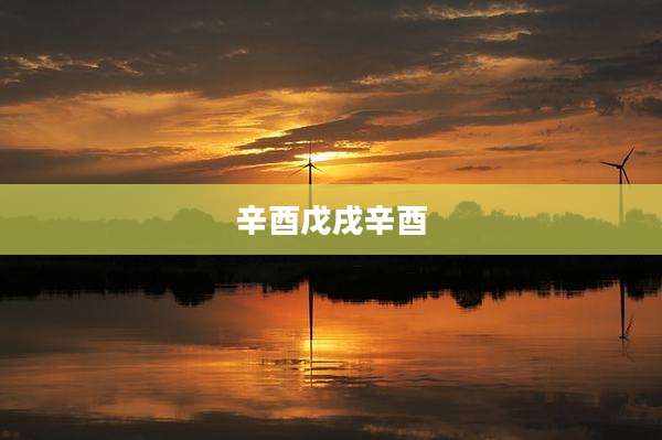 辛酉戊戌辛酉