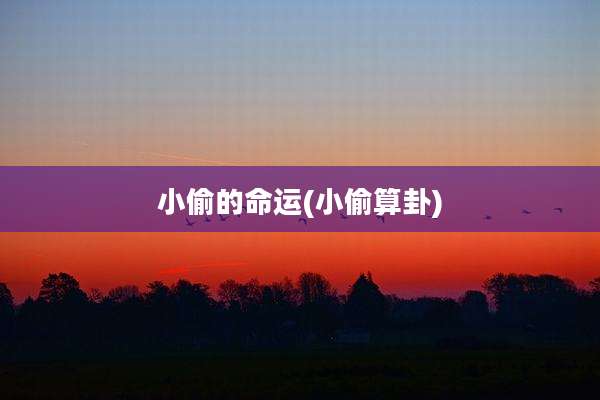 小偷的命运(小偷算卦)