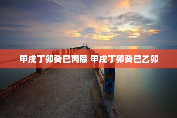 甲戌丁卯癸巳丙辰 甲戌丁卯癸巳乙卯