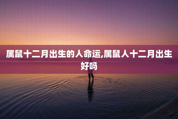 属鼠十二月出生的人命运,属鼠人十二月出生好吗