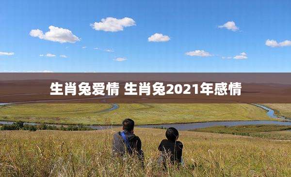 生肖兔爱情 生肖兔2021年感情
