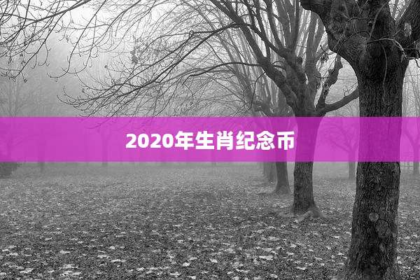2020年生肖纪念币