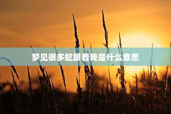 梦见很多蛇跟着我是什么意思