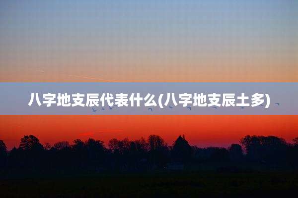 八字地支辰代表什么(八字地支辰土多)