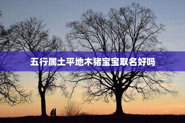 五行属土平地木猪宝宝取名好吗