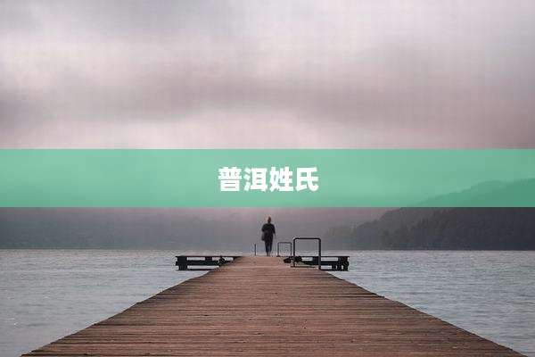 普洱姓氏