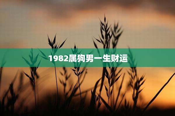 1982属狗男一生财运