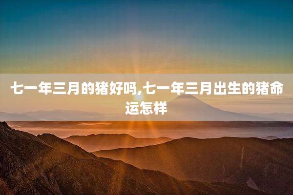 七一年三月的猪好吗,七一年三月出生的猪命运怎样