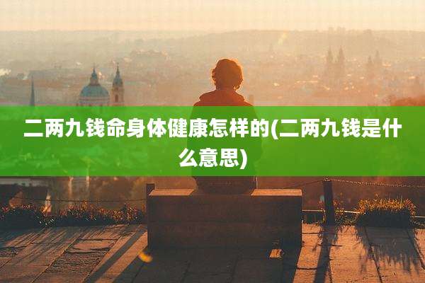 二两九钱命身体健康怎样的(二两九钱是什么意思)
