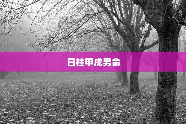 日柱甲戍男命