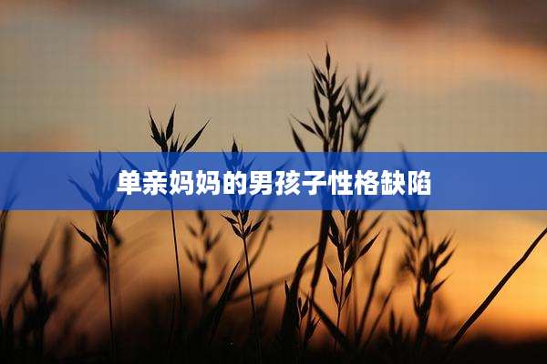 单亲妈妈的男孩子性格缺陷