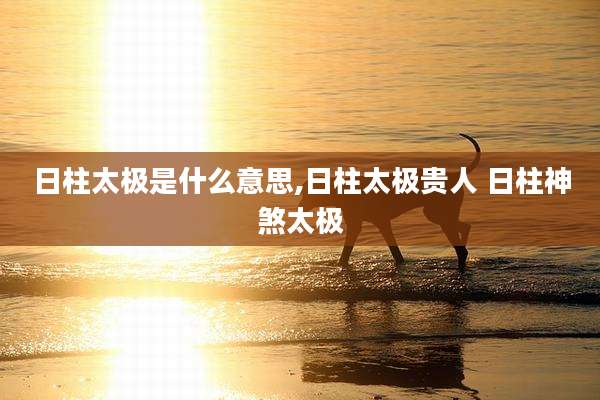 日柱太极是什么意思,日柱太极贵人 日柱神煞太极