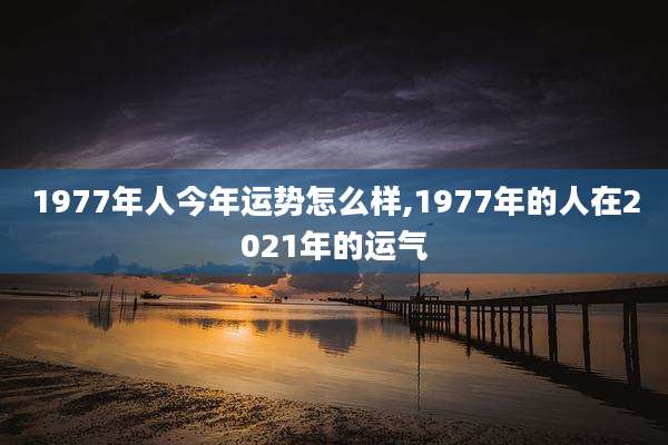1977年人今年运势怎么样,1977年的人在2021年的运气