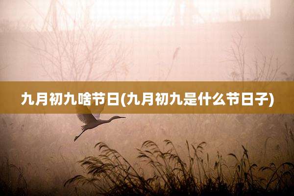 九月初九啥节日(九月初九是什么节日子)