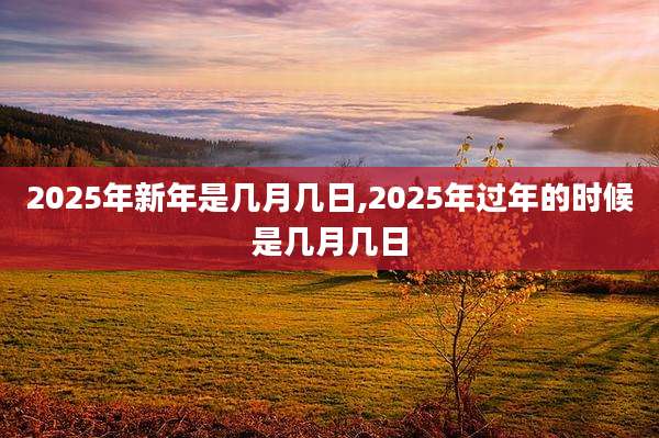 2025年新年是几月几日,2025年过年的时候是几月几日