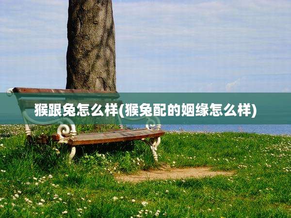 猴跟兔怎么样(猴兔配的姻缘怎么样)