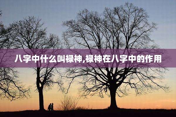 八字中什么叫禄神,禄神在八字中的作用