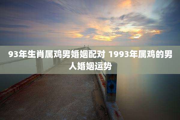93年生肖属鸡男婚姻配对 1993年属鸡的男人婚姻运势