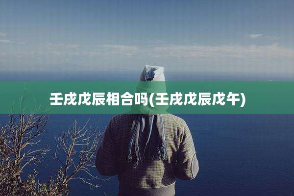 壬戌戊辰相合吗(壬戌戊辰戊午)
