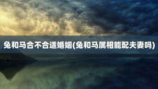 兔和马合不合适婚姻(兔和马属相能配夫妻吗)