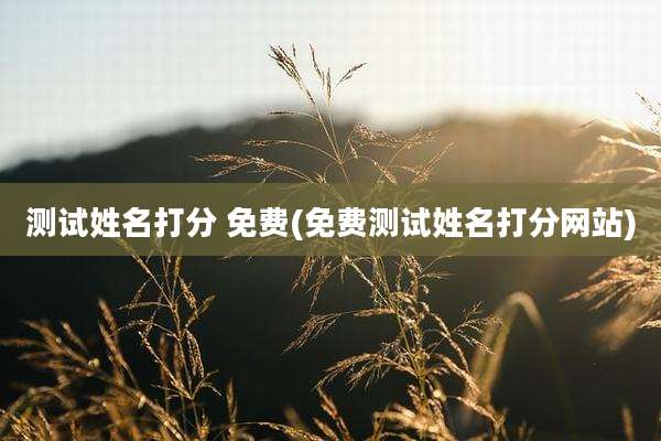测试姓名打分 免费(免费测试姓名打分网站)