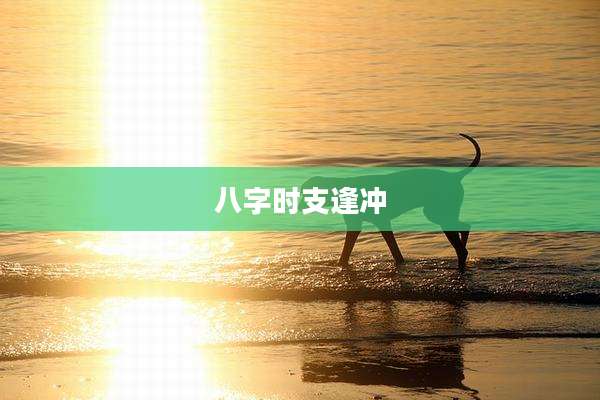 八字时支逢冲