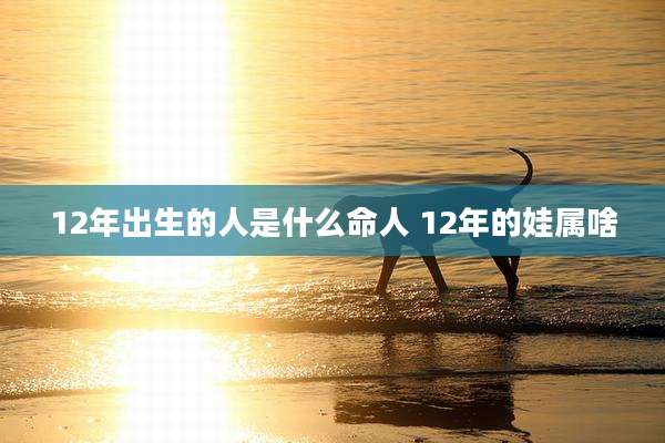 12年出生的人是什么命人 12年的娃属啥