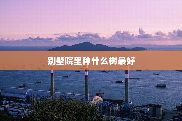 别墅院里种什么树最好