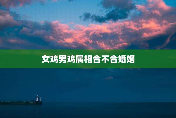 女鸡男鸡属相合不合婚姻