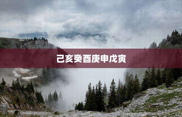 己亥癸酉庚申戊寅