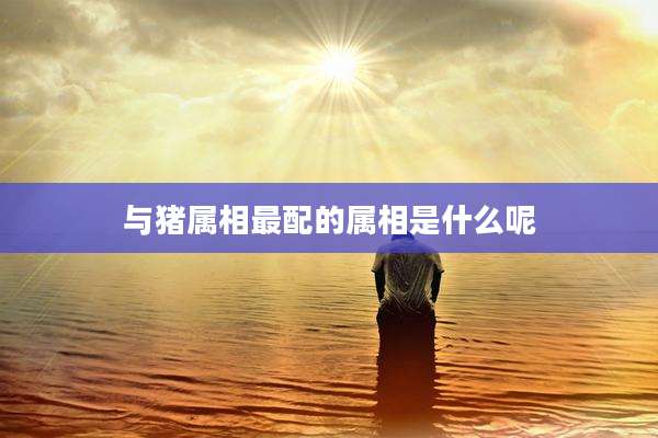 与猪属相最配的属相是什么呢